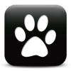 Captcha image 8333